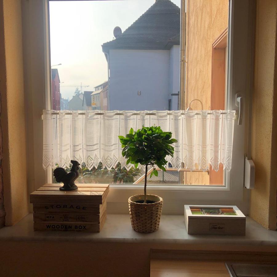 Gemuetliches Apartment Garden View 람스타인-미젠바흐 외부 사진